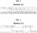 Fig. 02 - Performing save state switching in selective lanes between electronic devices in UFS system