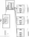 Fig. 07 - Autonomous deployment of multiple database file systems