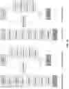 Fig. 07 - Generating enhanced graphical user interfaces for presentation of anti-infective design spaces for selecting drug candidates