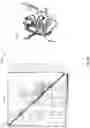 Fig. 34 - Generating enhanced graphical user interfaces for presentation of anti-infective design spaces for selecting drug candidates