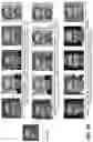 Fig. 04 - Enhanced image search via controllable attributes