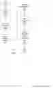 Fig. 20 - NFTS of images with provenance and chain of title