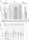 Fig. 11 - Conducting a repetitive search including difference determination
