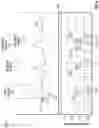 Fig. 07 - System and methods for faster processor comparisons of visual graph features