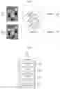 Fig. 02 - METHOD OF EVALUATING ROBUSTNESS OF ARTIFICIAL NEURAL NETWORK WATERMARKING AGAINST MODEL STEALING ATTACKS