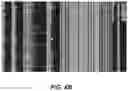 Fig. 06 - Data watermarking and fingerprinting system and method