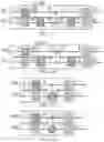 Fig. 17 - SIMULATING QUANTUM CIRCUITS