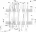 Fig. 01 - Engineering change order cell structure having always-on transistor