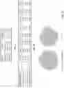 Fig. 11 - Systems and methods for code-mixing adversarial training