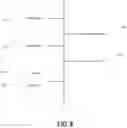 Fig. 14 - Adapting pre-trained classification algorithms