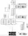 Fig. 08 - Patient-adaptive nuclear imaging