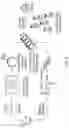 Fig. 10 - IDENTIFICATION OF CONVERGENT ANTIBODY SPECIFICITY SEQUENCE PATTERNS