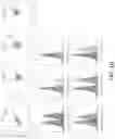 Fig. 11 - IDENTIFICATION OF CONVERGENT ANTIBODY SPECIFICITY SEQUENCE PATTERNS