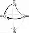 Fig. 01 - SYSTEM AND METHOD FOR MODELING THE STRUCTURE AND FUNCTION OF BIOLOGICAL SYSTEMS