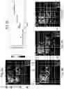 Fig. 60 - SYSTEM AND METHOD FOR MODELING THE STRUCTURE AND FUNCTION OF BIOLOGICAL SYSTEMS