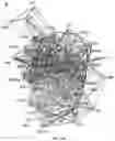 Fig. 62 - SYSTEM AND METHOD FOR MODELING THE STRUCTURE AND FUNCTION OF BIOLOGICAL SYSTEMS