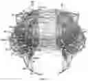 Fig. 67 - SYSTEM AND METHOD FOR MODELING THE STRUCTURE AND FUNCTION OF BIOLOGICAL SYSTEMS