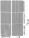 Fig. 17 - Optical diffractive processing unit