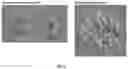 Fig. 10 - SYSTEM AND METHOD FOR BIOREMEDIATION OF POLLUTANTS