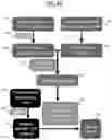 Fig. 04 - COMPUTERIZED SYSTEM AND METHOD FOR ANTIGEN-INDEPENDENT DE NOVO PREDICTION OF CANCER-ASSOCIATED TCR REPERTOIRE