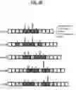 Fig. 05 - COMPUTERIZED SYSTEM AND METHOD FOR ANTIGEN-INDEPENDENT DE NOVO PREDICTION OF CANCER-ASSOCIATED TCR REPERTOIRE