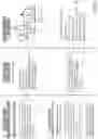Fig. 04 - Proficiency assessment and instructional feedback using explainable artificial intelligence