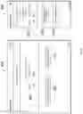 Fig. 06 - Integrated credit application and merchant transaction including concurrent visualization of transaction details