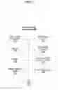 Fig. 19 - Controlling access to output device between two processors