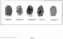 Fig. 03 - AUTHENTICATION VIA BIOMETRIC PASSPHRASE