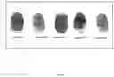 Fig. 05 - AUTHENTICATION VIA BIOMETRIC PASSPHRASE