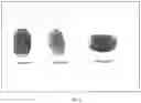 Fig. 06 - AUTHENTICATION VIA BIOMETRIC PASSPHRASE