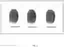 Fig. 07 - AUTHENTICATION VIA BIOMETRIC PASSPHRASE