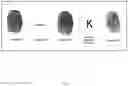 Fig. 08 - AUTHENTICATION VIA BIOMETRIC PASSPHRASE