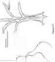 Fig. 72 - SIGHT INFORMATION COLLECTION IN HEAD WORN COMPUTING