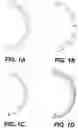 Fig. 02 - Delivery of Bioactive Molecules in Protective Coatings or Surface Layers of Organically Enhanced Inorganic Fertilizers