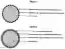 Fig. 07 - Delivery of Bioactive Molecules in Protective Coatings or Surface Layers of Organically Enhanced Inorganic Fertilizers