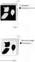 Fig. 05 - Method and apparatus for simultaneously acquiring super-resolution image and high-speed widefield image