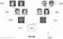 Fig. 06 - Photo composites