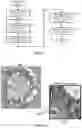 Fig. 03 - Interpretation of whole-slide images in digital pathology