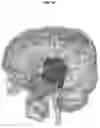 Fig. 13 - Computer system for automatically searching for mental disorder diagnosis protocol and method thereof