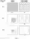 Fig. 03 - Capture and storage of magnified images
