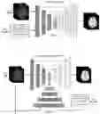 Fig. 03 - Protocol-aware tissue segmentation in medical imaging