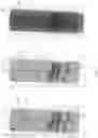 Fig. 06 - AUTOMATED CORE SCAN ALIGNMENT
