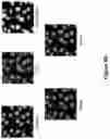 Fig. 12 - Methods for depth sensing using candidate images selected based on an epipolar line