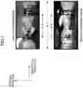 Fig. 08 - Panoramic image based jump position determination method and apparatus and non-transitory computer-readable medium