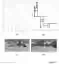 Fig. 08 - Rotation equivariant orientation estimation for omnidirectional localization