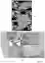 Fig. 13 - Rotation equivariant orientation estimation for omnidirectional localization