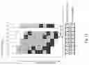 Fig. 14 - Processing missing points of a point cloud