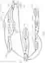 Fig. 11 - TOOL AND METHOD FOR DRAWING 3-D CURVES IN 2-D