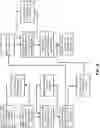 Fig. 05 - Object time series system